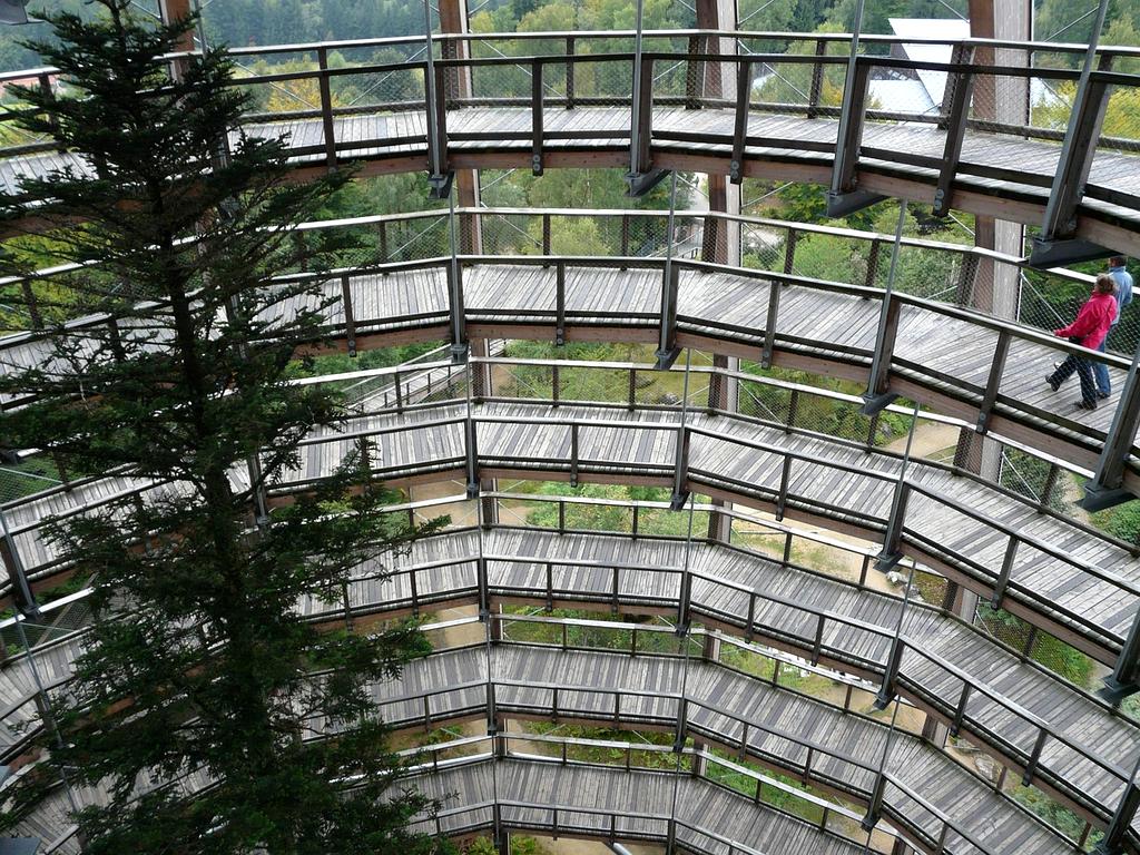 Global citizenship and multicultural competence development program