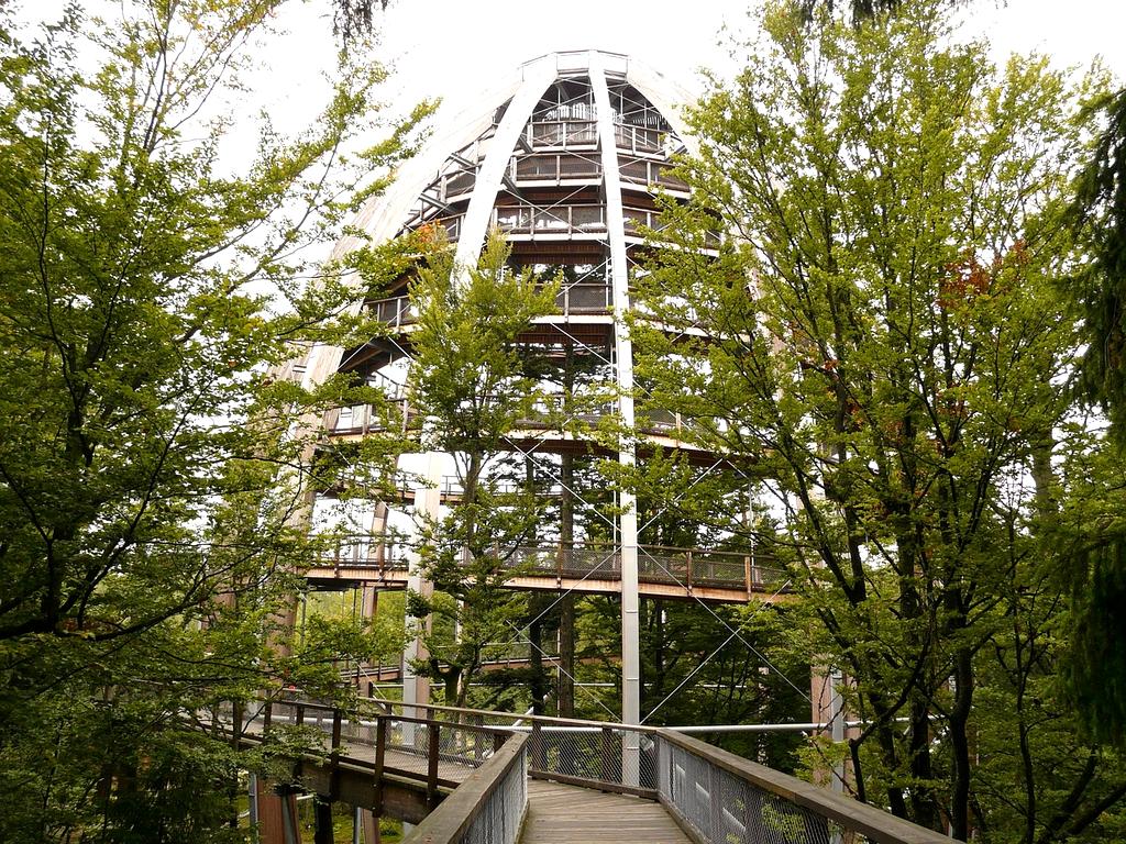 European students learning essential life skills on modern digital platform